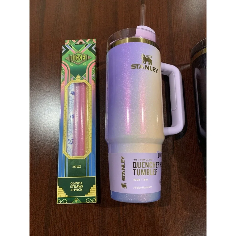Stanley x Wicked  30oz FlowState Quencher‎ Straw Pack  Elphaba Glinda For Good - Picture 3 of 11